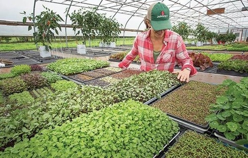 Potting Soil Bags